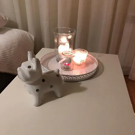V&t Roo Lejlighed